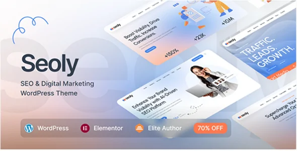 Seoly v1.0.5 - SEO & Digital Marketing WordPress Theme